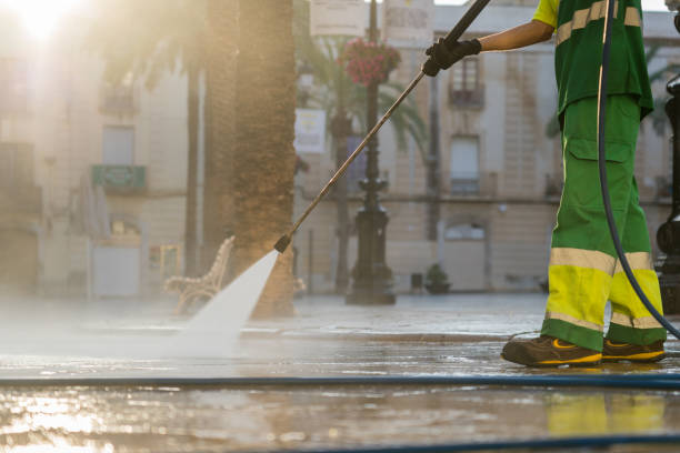 Animal Enclosure Cleaning in Hallandale Beach, FL